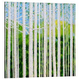 Magnettafel Birkenwald