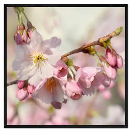 Gerahmter Kunstdruck Frühlingsduft I