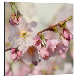 Magnettafel Frühlingsduft I