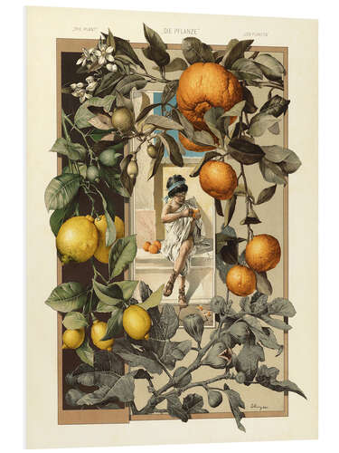 Foam board print Lemon and Orange Plant