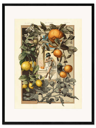 Framed art print Lemon and Orange Plant