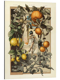 Magnettafel Zitronen und Orangen