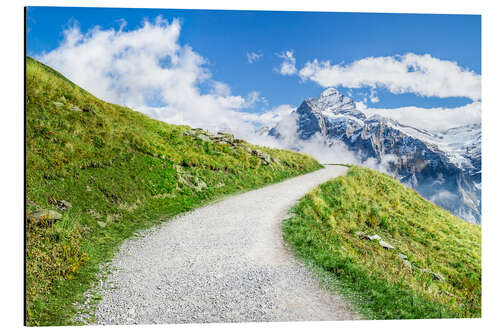 Aluminium print Pad langs de Zwitserse Alpen in Grindelwald