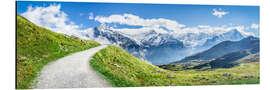 Alubild Grindelwald Berglandschaft