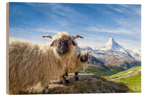 Holzbild Matterhorn mit Schwarznasenschaf