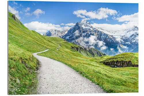 Galleritryk Schweiziske alper ved grindelwald