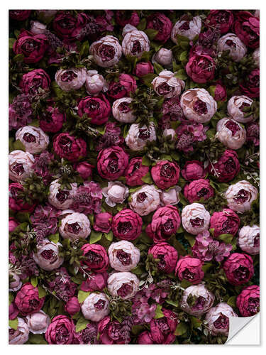 Självhäftande poster Mörka och ljusrosa peonies