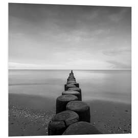 Foam board print Groynes on the Baltic Sea