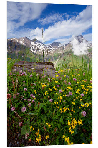 Tableau en PVC Fleurs sauvages sur le Grossglockner