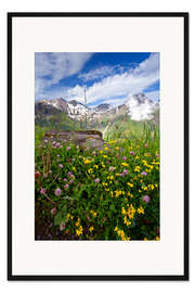 Gerahmter Kunstdruck Wildblumen am Großglockner
