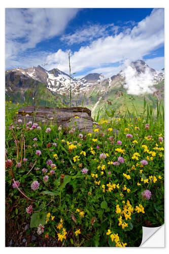 Vinilo para la pared Flores silvestres en el Grossglockner