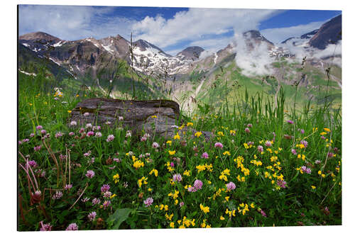 Aluminium print Hohe Tauern bergweide