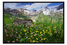 Gerahmter Kunstdruck Hohe Tauern Bergwiese