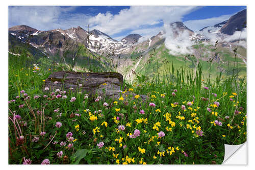 Sticker mural Prairie de montagne dans les Hohe Tauern