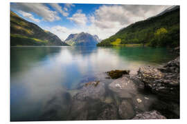 Foam board print Summer landscape at the lake