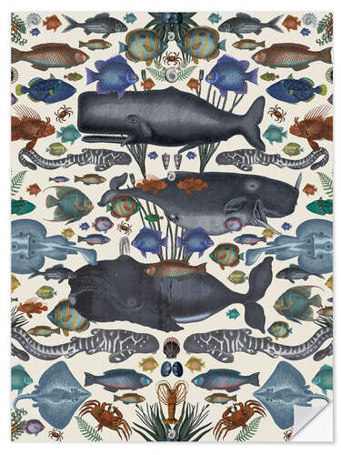 Wall sticker Whales and other marine animals