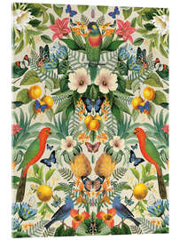 Akrylglastavla  Tropiska papegojor