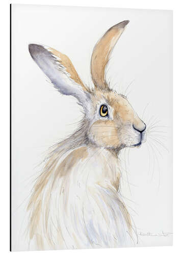 Aluminium print Pretty hare