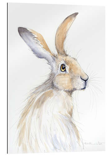 Gallery print Pretty hare