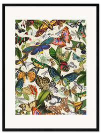 Plakat artystyczny premium w ramie Exotic butterflies