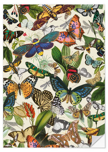 Sticker mural Papillons exotiques