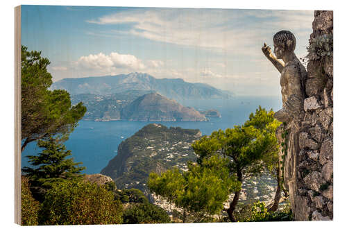 Wood print View of Capri