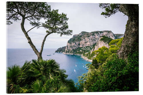 Stampa su vetro acrilico Costa di Capri, Italia