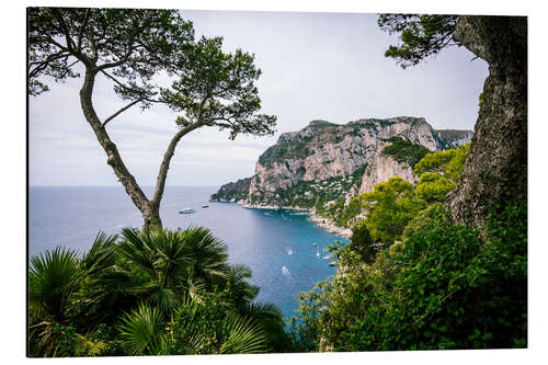 Aluminium print Coast of Capri, Italy