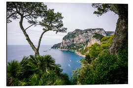 Tableau en aluminium Côte de Capri, Italie