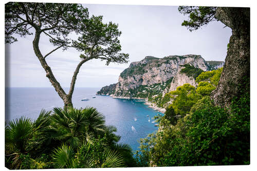 Canvas print Coast of Capri, Italy