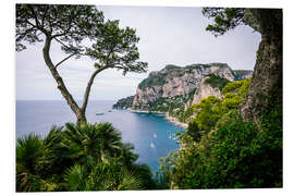 Foam board print Coast of Capri, Italy