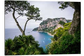 Gallery print Coast of Capri, Italy