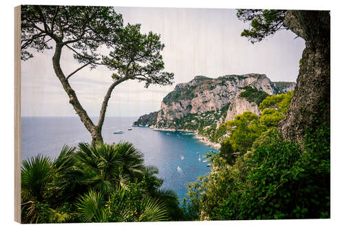 Hout print Coast of Capri, Italy