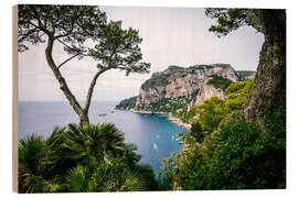 Tableau en bois Côte de Capri, Italie