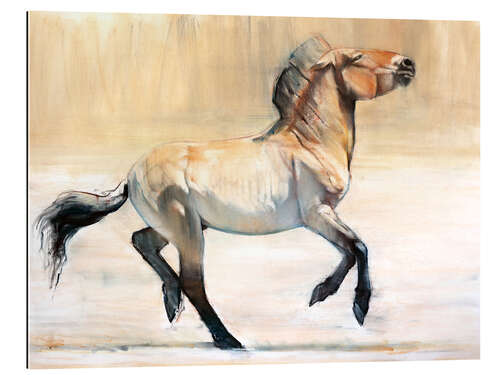 Gallery print Equus