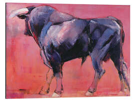 Magnettafel Toro Azul