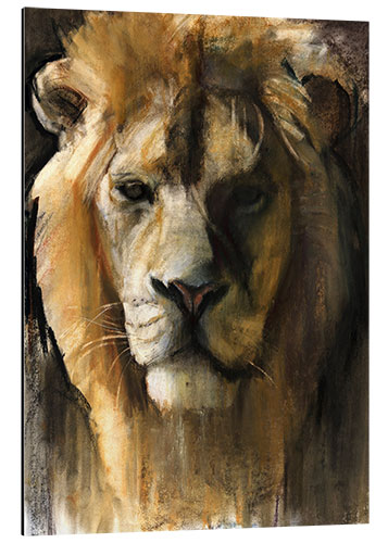 Aluminium print Asiatic Lion