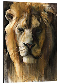 Aluminium print Asiatic Lion