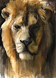 Magnettafel Asiatischer Löwe