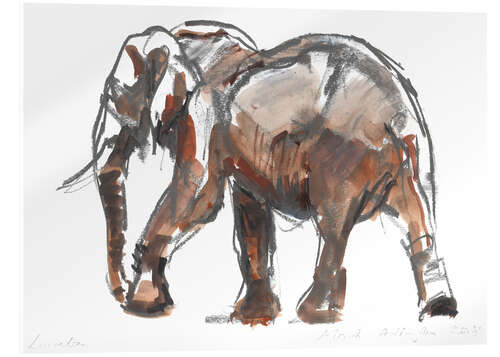 Obraz na szkle akrylowym Study of an elephant