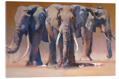 Acrylic print Three elephants