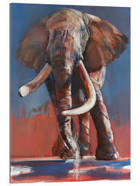 Gallery print An elephant at the waterhole