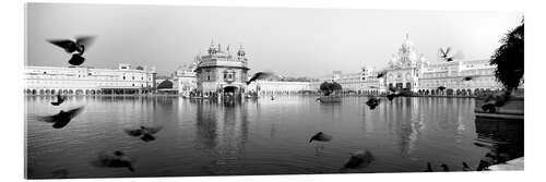 Acrylic print Golden Temple in Punjab, India