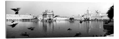 Gallery print Golden Temple in Punjab, India