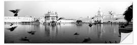 Selvklebende plakat Golden Temple i Punjab, India