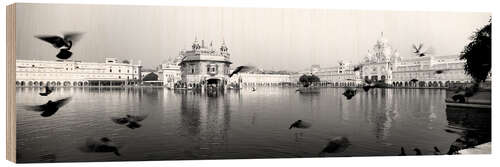 Wood print Golden Temple in Punjab, India