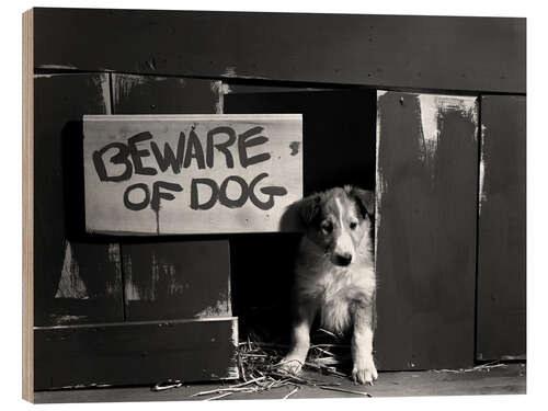 Wood print Beware of dog