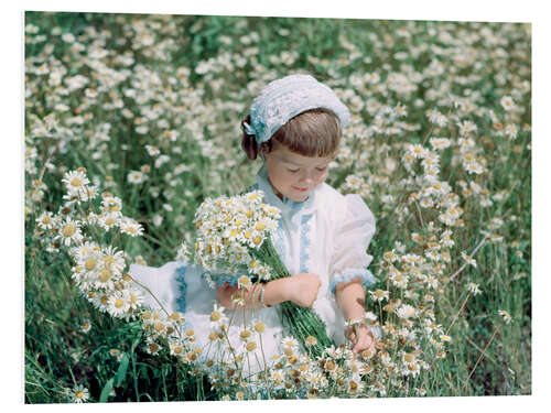 Foam board print Tiny girl in the daisy field