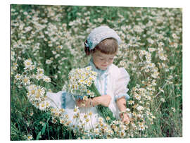 Gallery print Tiny girl in the daisy field