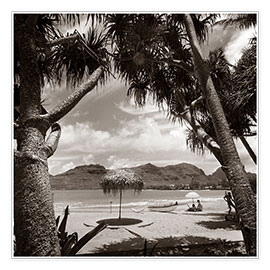 Poster Vacances sous les palmiers dans les années 30